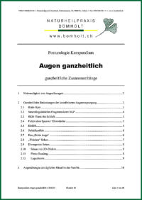 Posturologie Kompendium "Augen ganzheitlich" von Jens Bomholt: Titelblatt