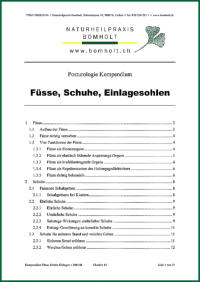 Posturologie Kompendium "Fsse, Schuhe, Einlagesohlen" von Jens Bomholt: Titelblatt