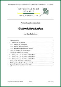 Posturologie Kompendium "Gelenkblockaden" von Jens Bomholt: Titelblatt