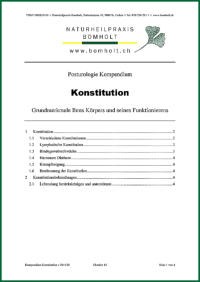 Posturologie Kompendium "Konstitution" von Jens Bomholt: Titelblatt