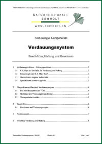 Posturologie Kompendium "Verdauungssystem" von Jens Bomholt: Titelblatt