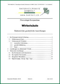 Posturologie Kompendium "Wirbelsule" von Jens Bomholt: Titelblatt